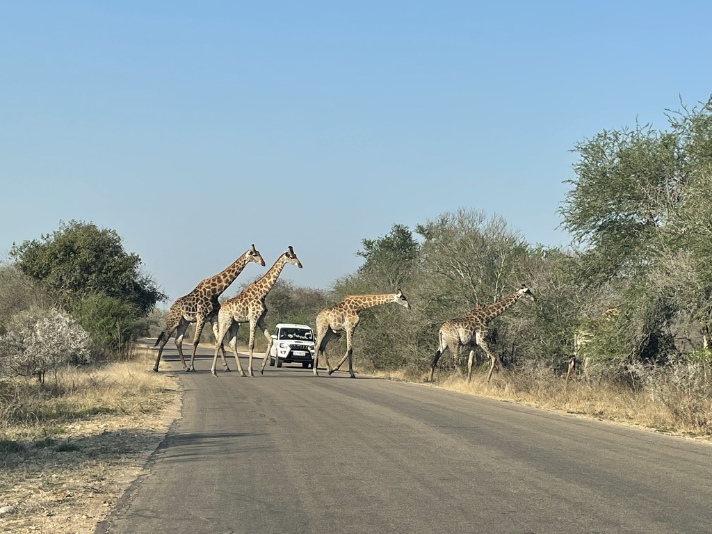 Kruger National Park, South Africa